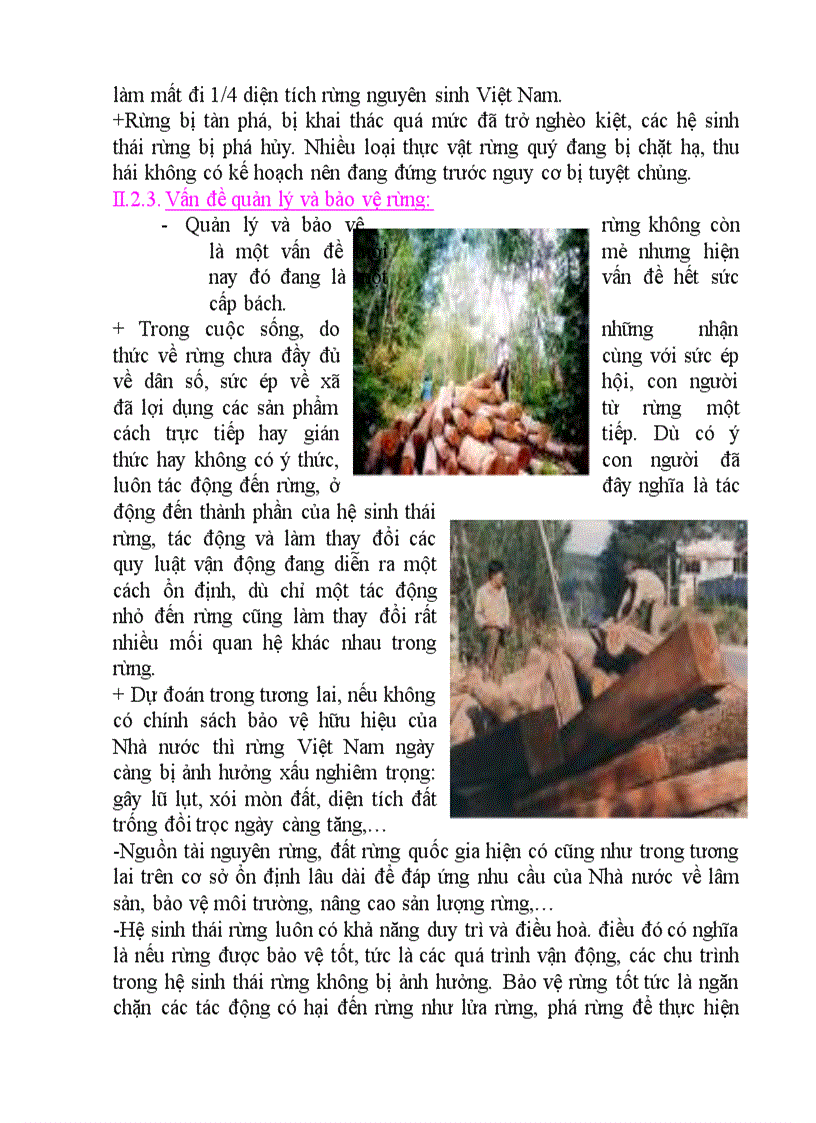 image for page Tài nguyên rừng bản word