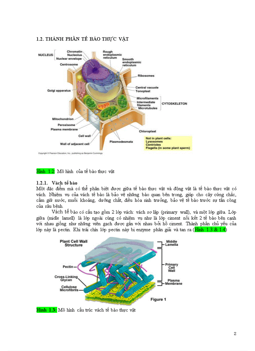 Tế bào học