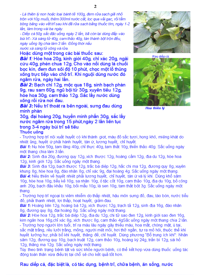 image for page Thuốc nam chữa bệnh Trĩ