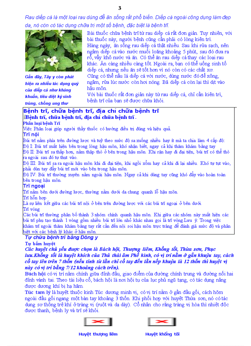 image for page Thuốc nam chữa bệnh Trĩ