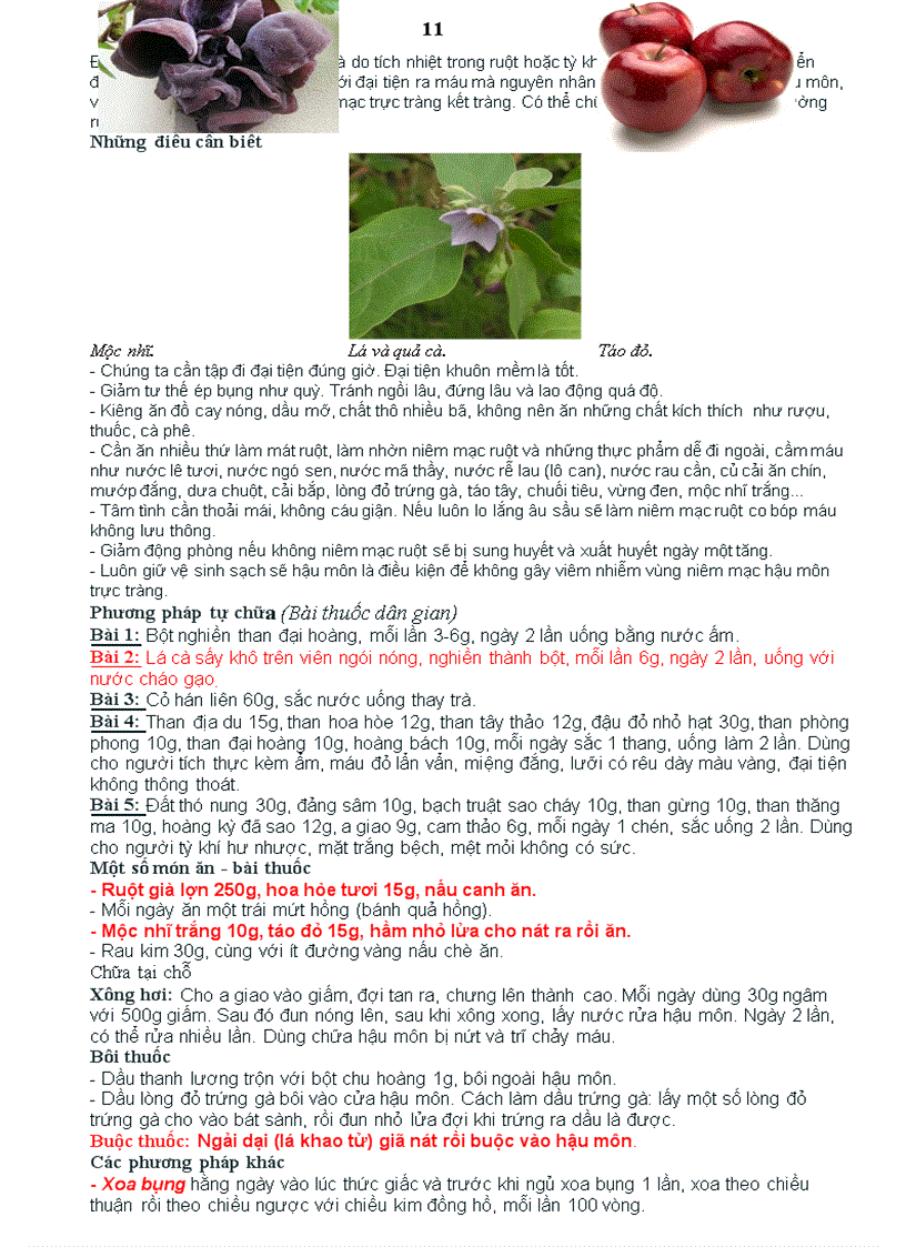 image for page Thuốc nam chữa bệnh Trĩ