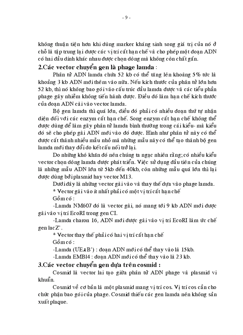 image for page Tiểu luận sinh học phân tử