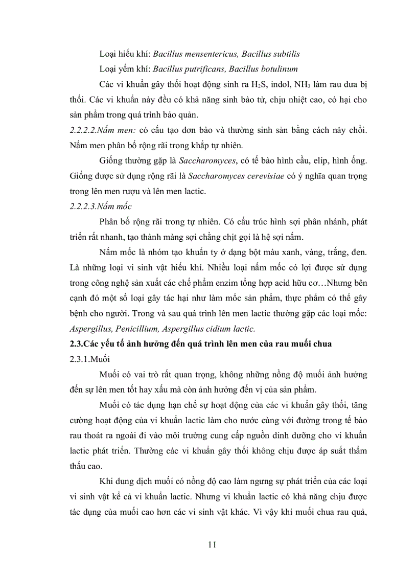 image for page Ứng dụng vi sinh vật lên men lactic