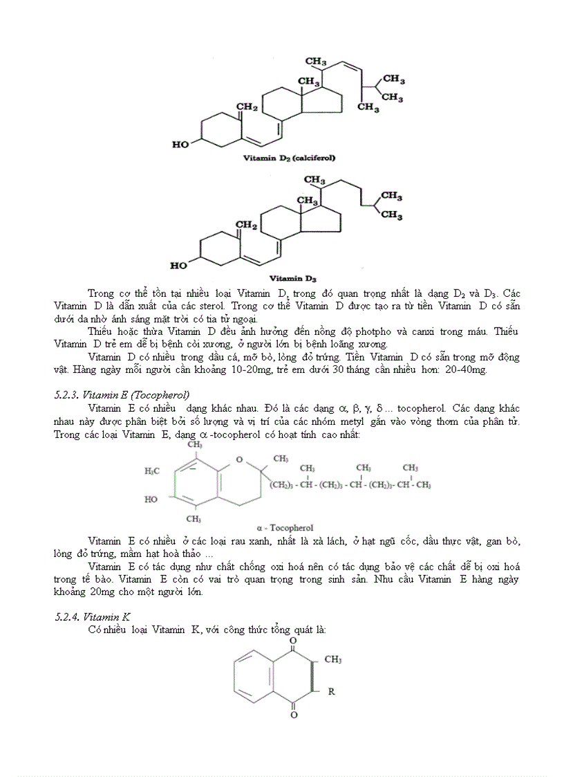 image for page Vitamin