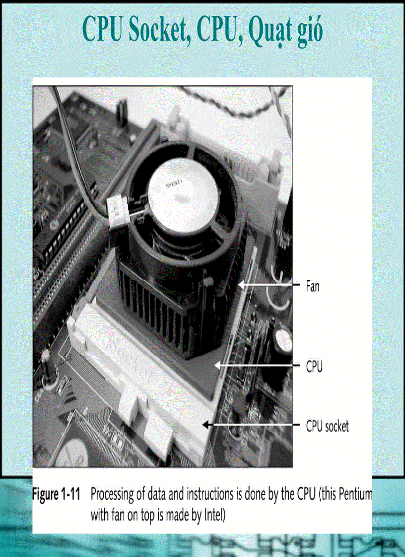 image for page Giáo trình cấu trúc phần cứng