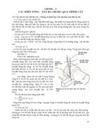 Giáo trình kỹ thuật tiện 2