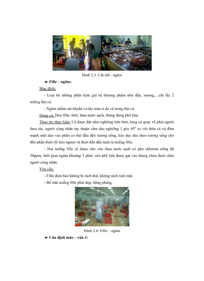 image for page Qui trình Sản Xuất cá tra đông lạnh