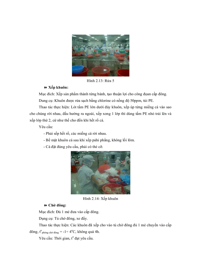 image for page Qui trình Sản Xuất cá tra đông lạnh