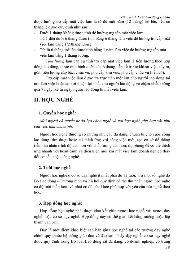 image for page Giáo trình Luật lao động