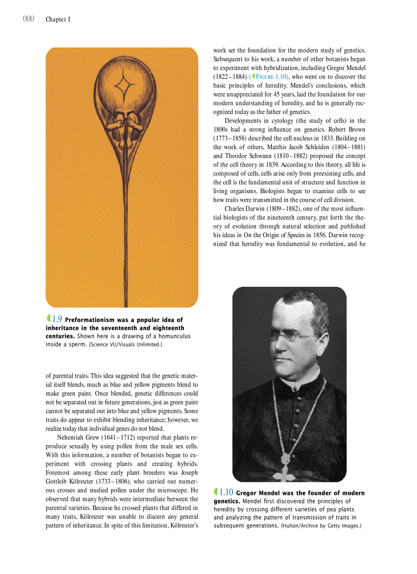 image for page Genetics A conceptual approach 3rd edition