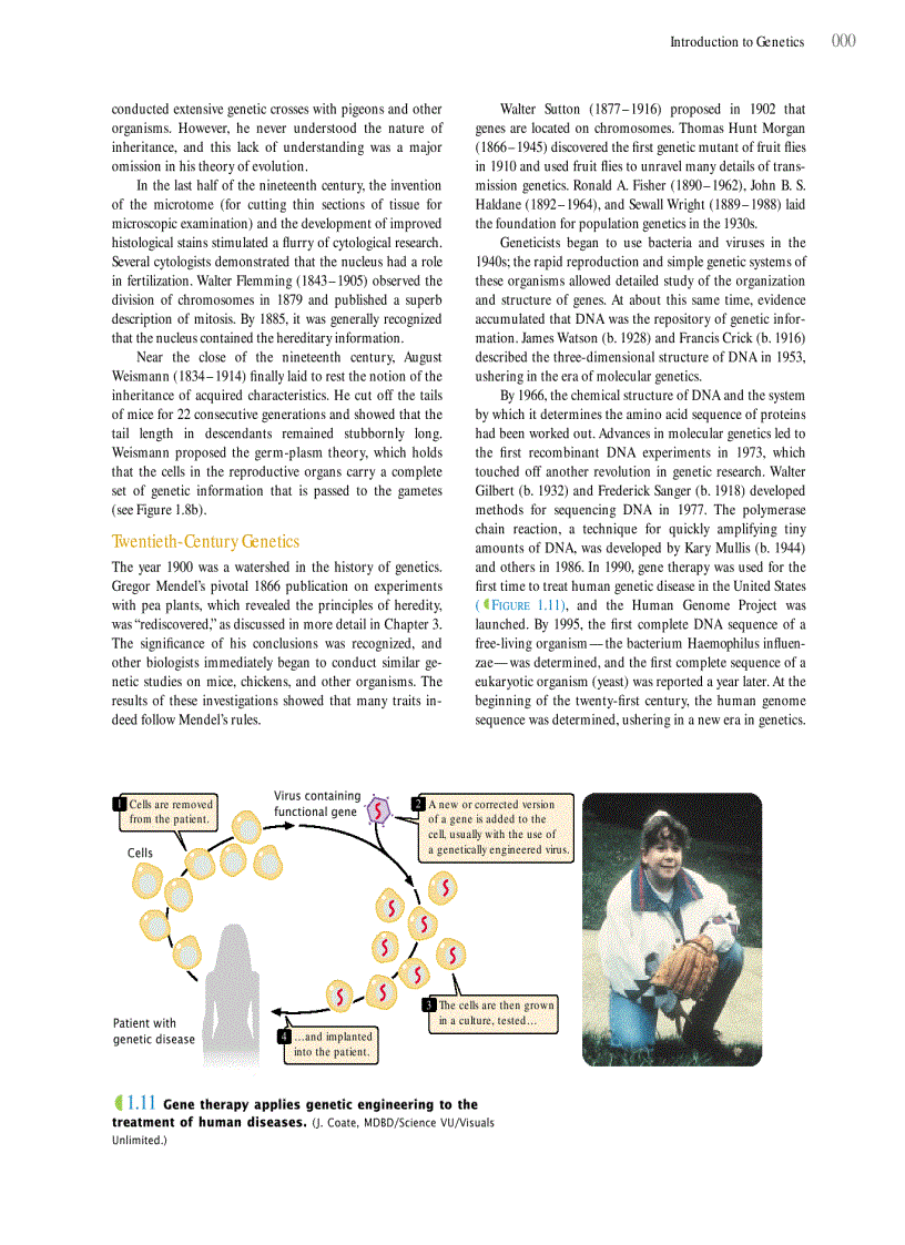 image for page Genetics A conceptual approach 3rd edition