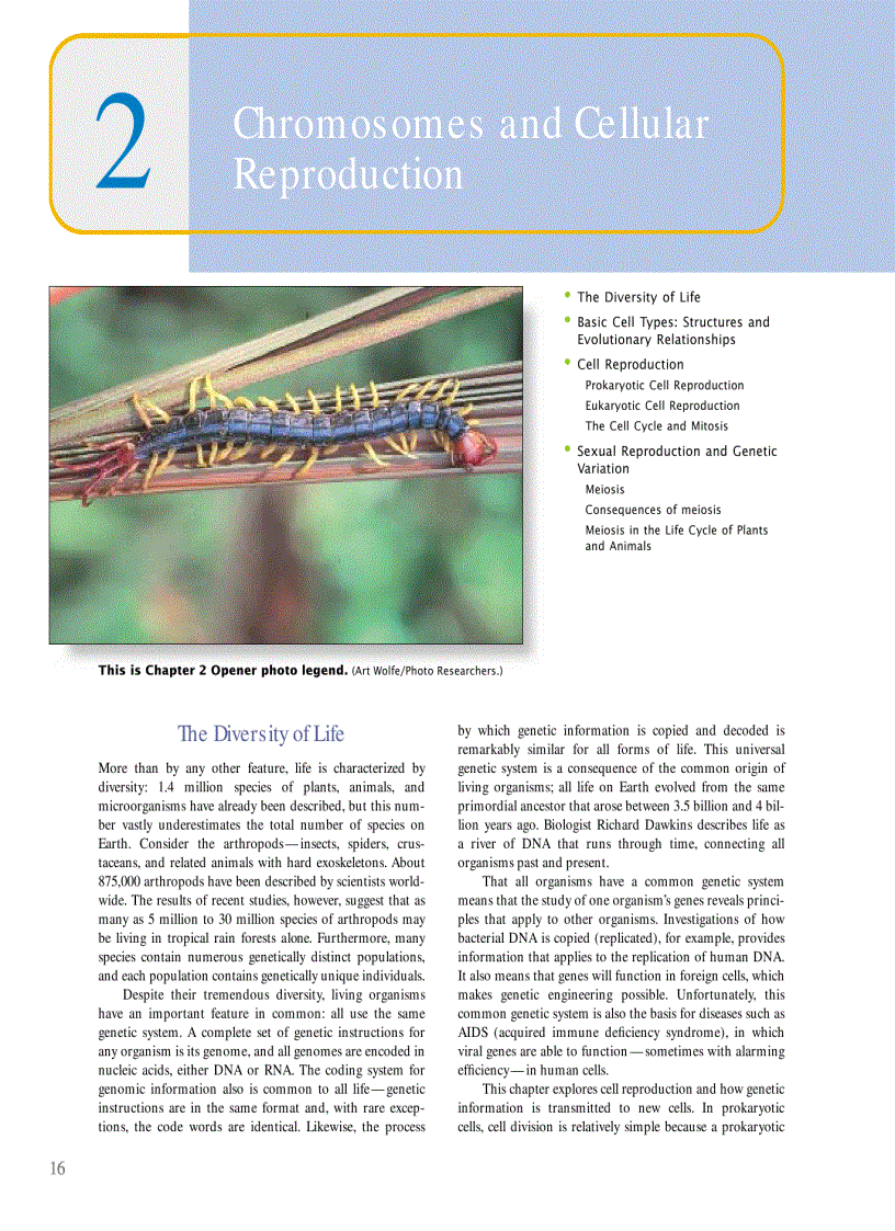 image for page Genetics A conceptual approach 3rd edition