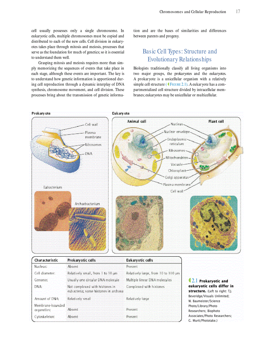 image for page Genetics A conceptual approach 3rd edition