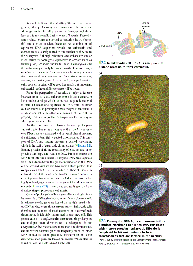 image for page Genetics A conceptual approach 3rd edition