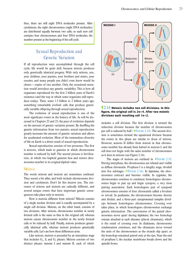 image for page Genetics A conceptual approach 3rd edition