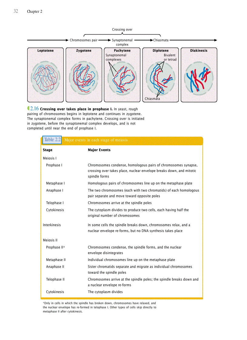 image for page Genetics A conceptual approach 3rd edition