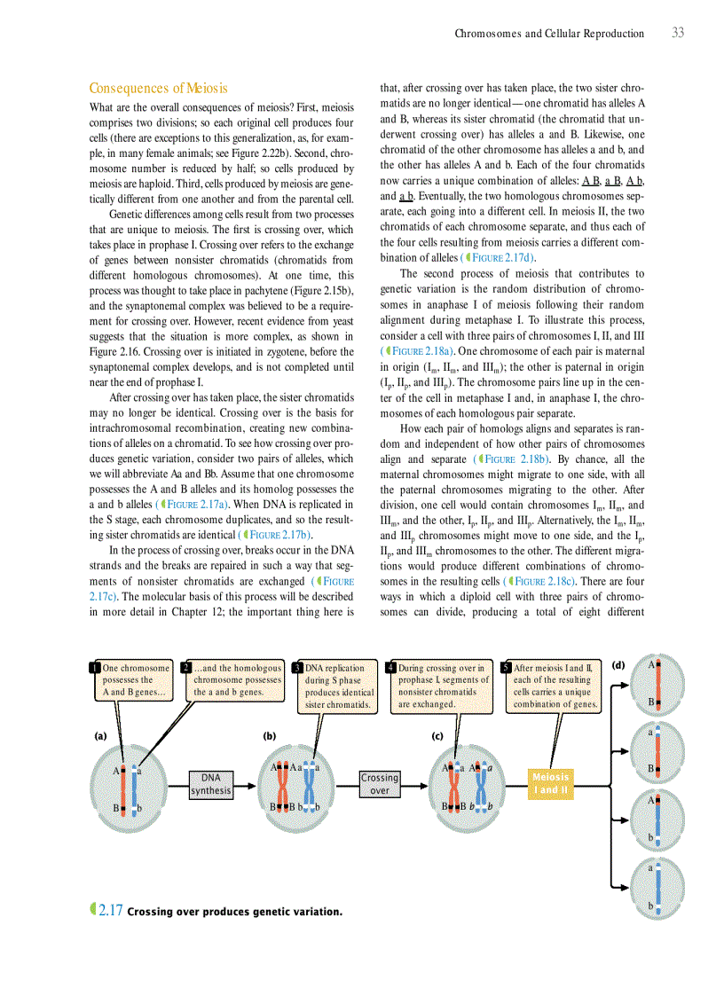 image for page Genetics A conceptual approach 3rd edition