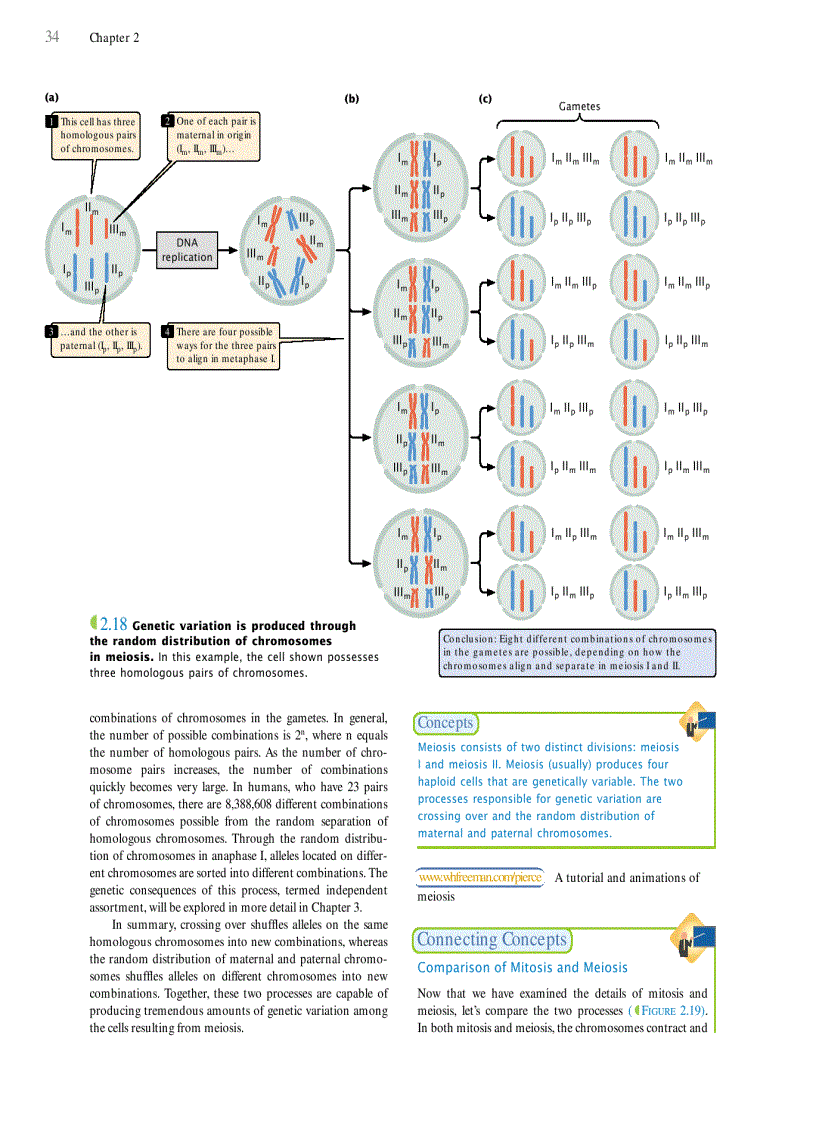 image for page Genetics A conceptual approach 3rd edition