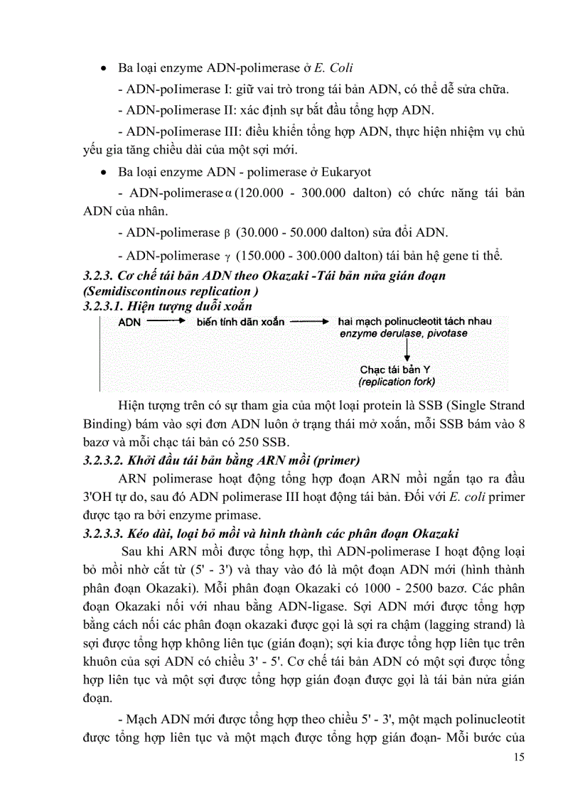 image for page Cơ sở và phương pháp sinh học phân tử