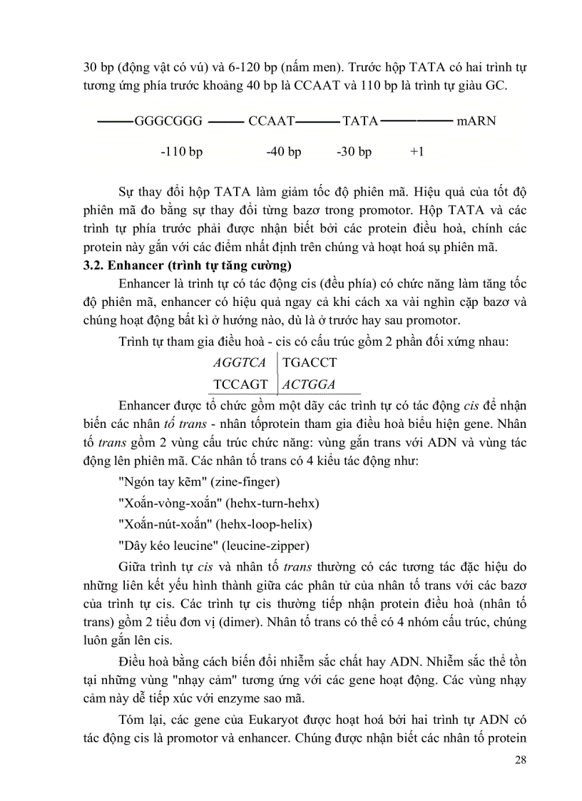 image for page Cơ sở và phương pháp sinh học phân tử