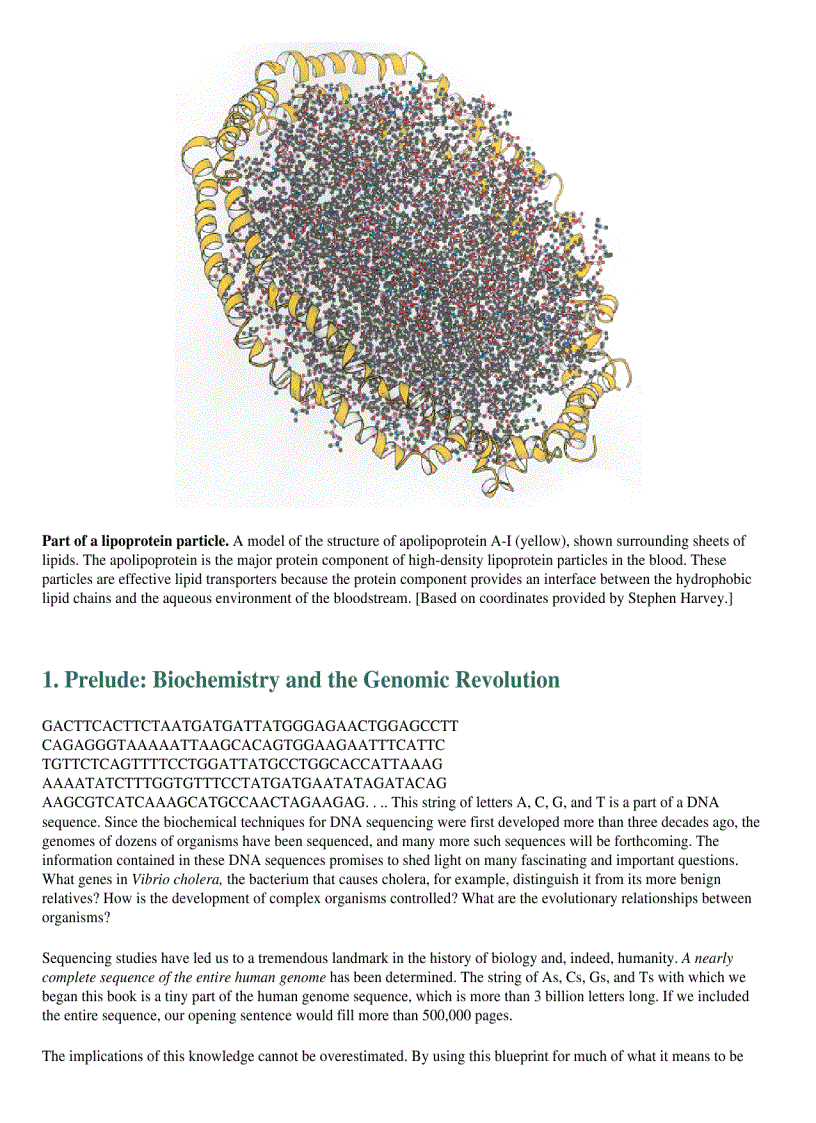 image for page Lubert Stryer Biochemistry