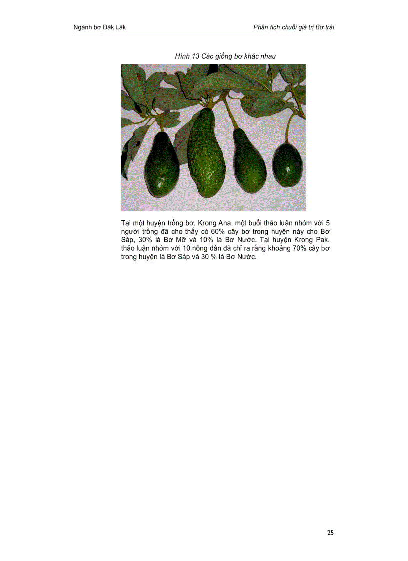 image for page Phân tích chuỗi giá trị bơ Đắc Lăk