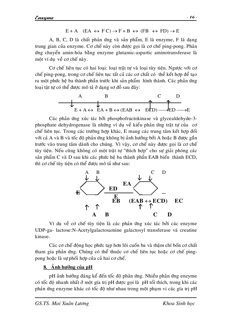 image for page Giáo trình Enzyme