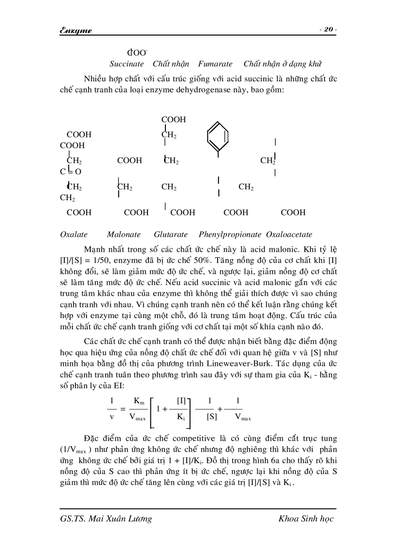 image for page Giáo trình Enzyme