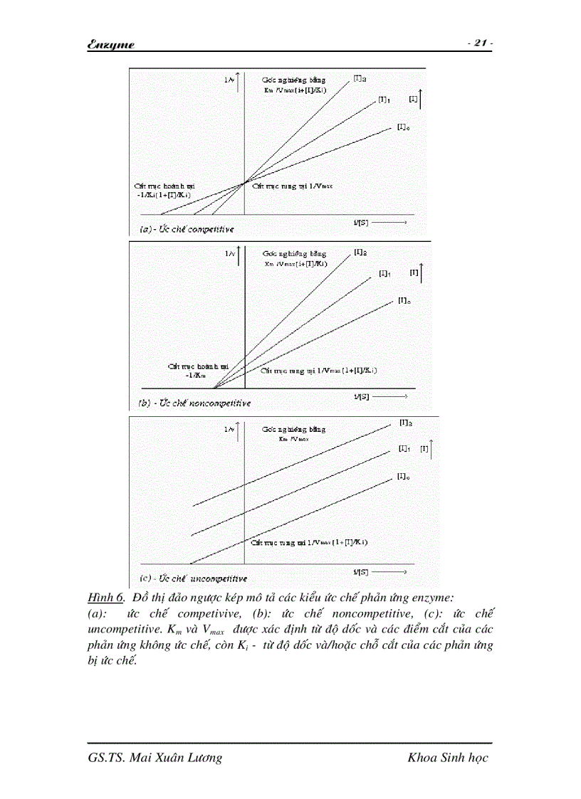 image for page Giáo trình Enzyme