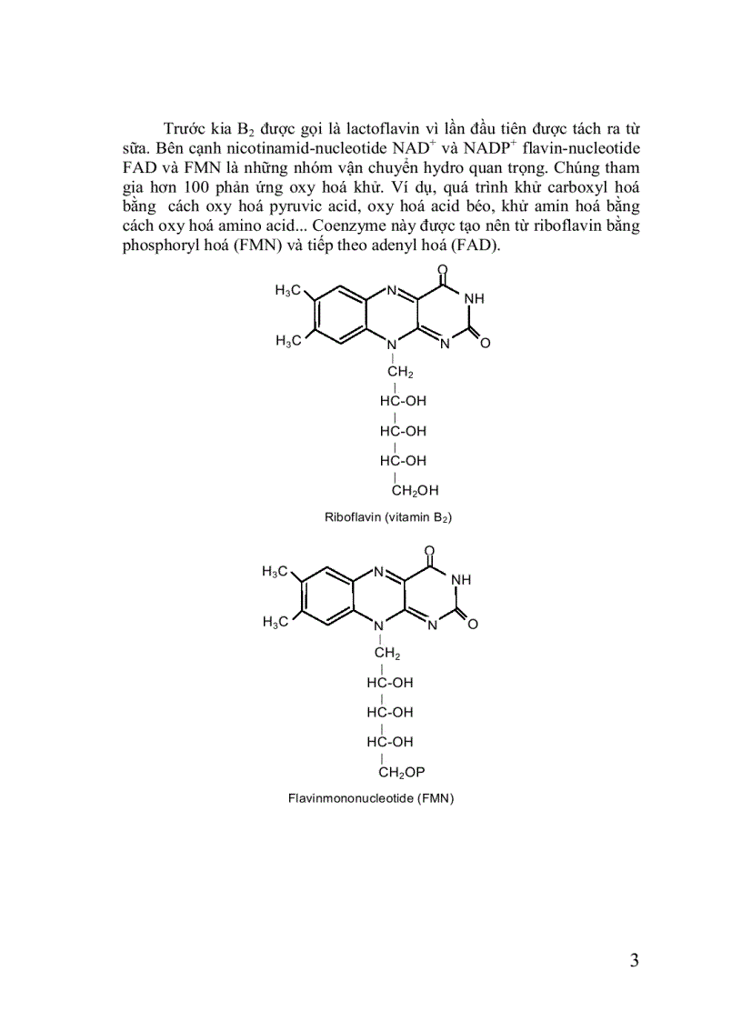image for page Hóa sinh thực vật