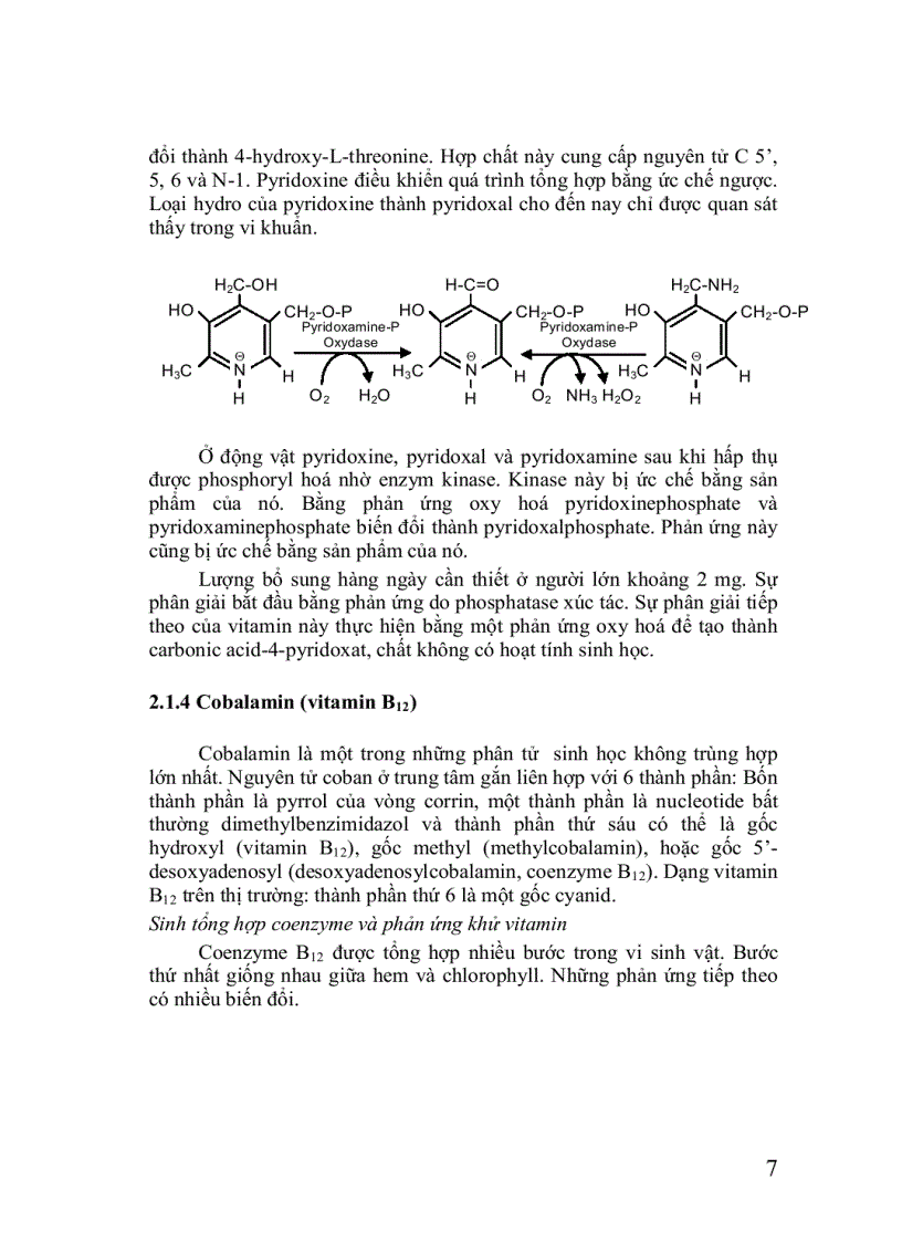 image for page Hóa sinh thực vật