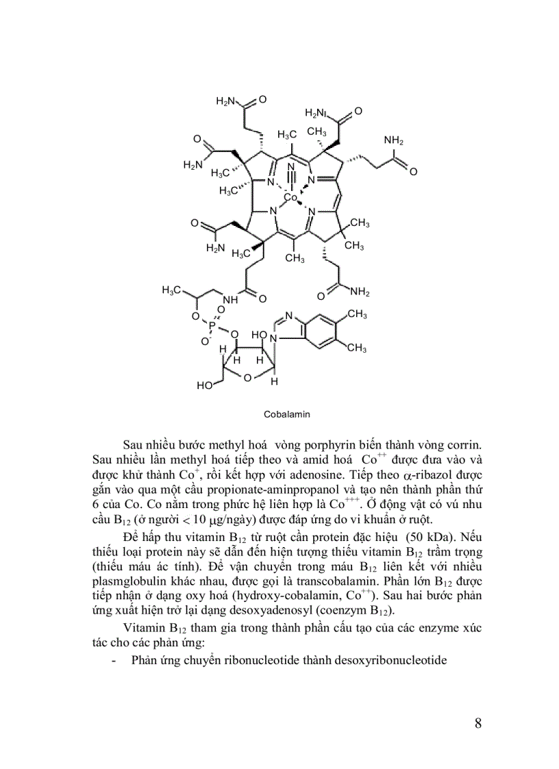 image for page Hóa sinh thực vật