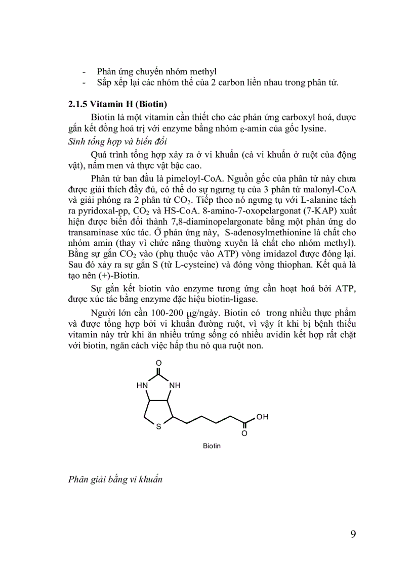 image for page Hóa sinh thực vật