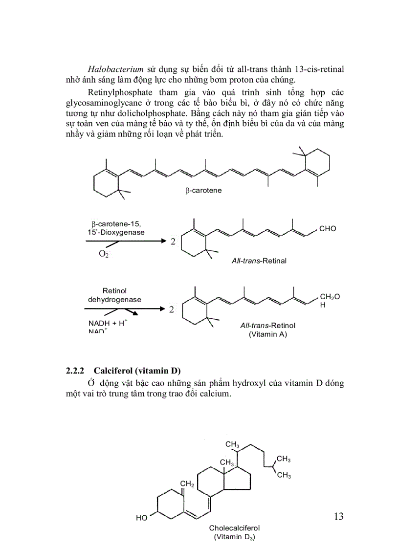 image for page Hóa sinh thực vật