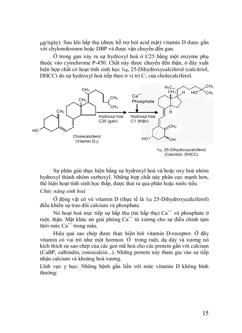 image for page Hóa sinh thực vật
