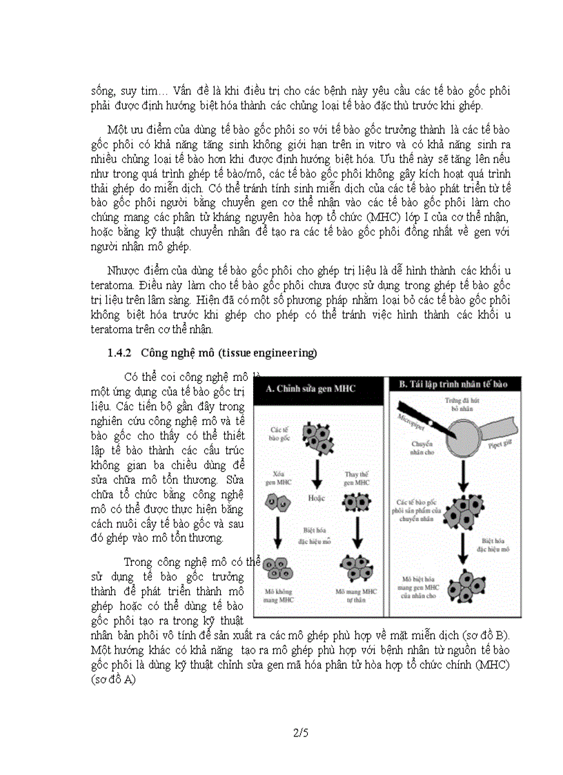 image for page Tế bào gốc