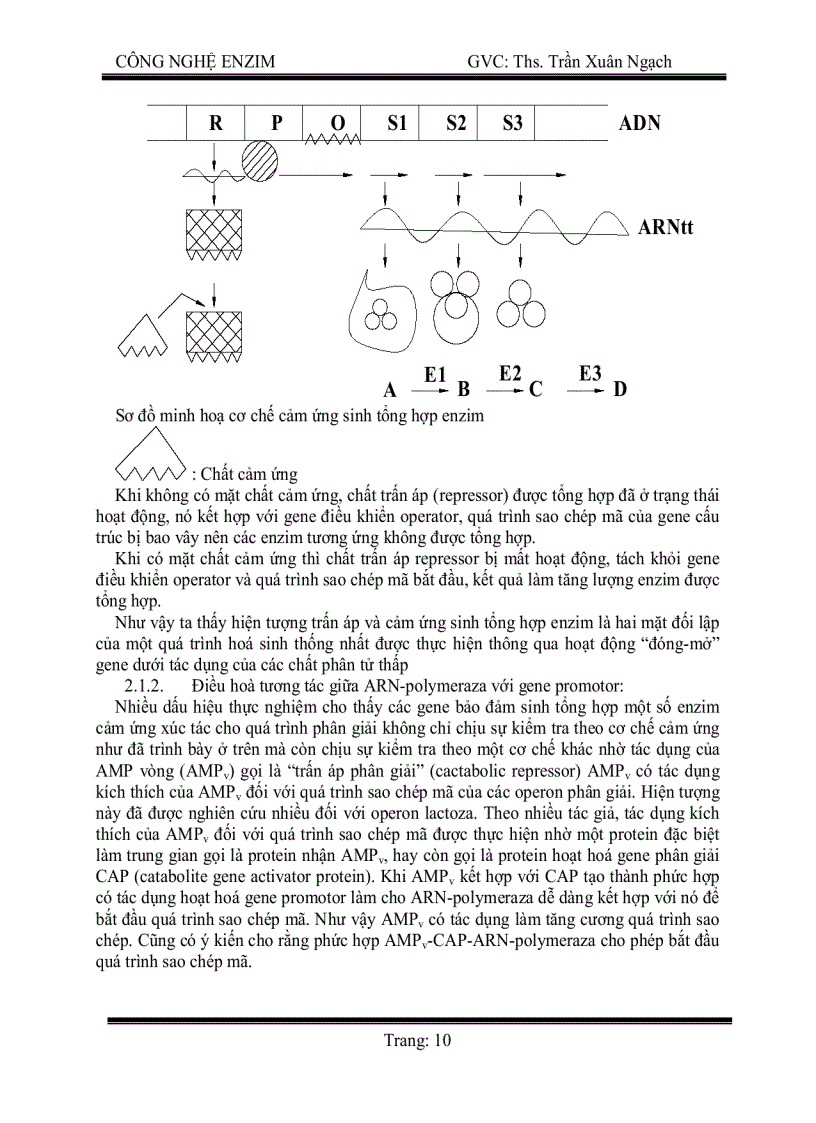 image for page Công nghệ enzym