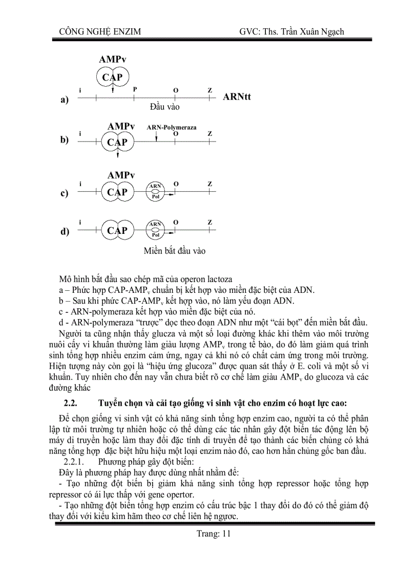 image for page Công nghệ enzym