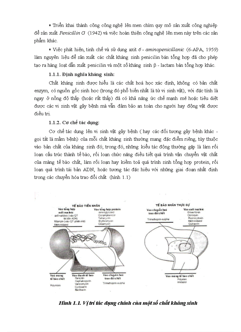 image for page Công nghệ Dược Phẩm TS Trương Thị Minh Hạnh