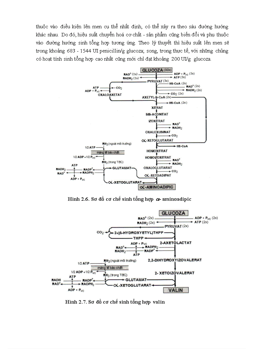 image for page Công nghệ Dược Phẩm TS Trương Thị Minh Hạnh
