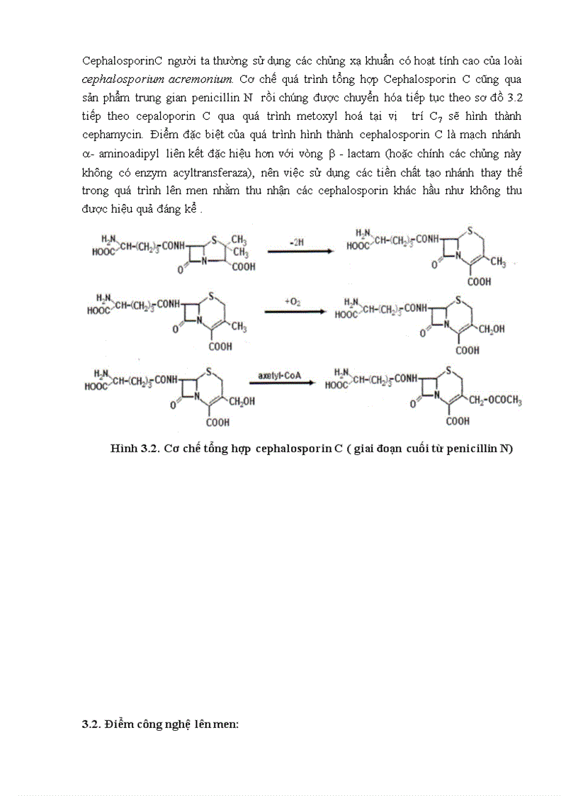 image for page Công nghệ Dược Phẩm TS Trương Thị Minh Hạnh