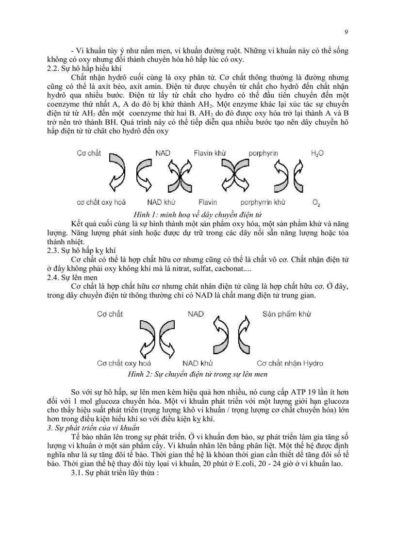 image for page Đại cương vi sinh y học