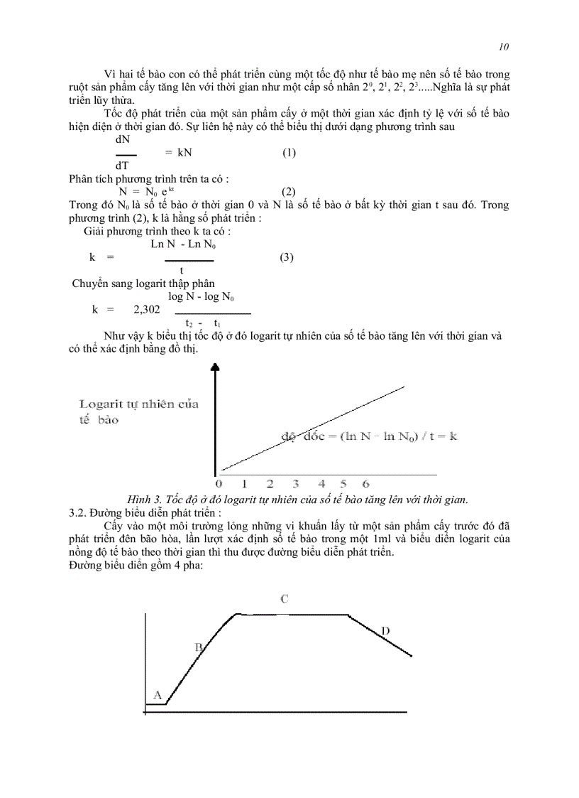 image for page Đại cương vi sinh y học