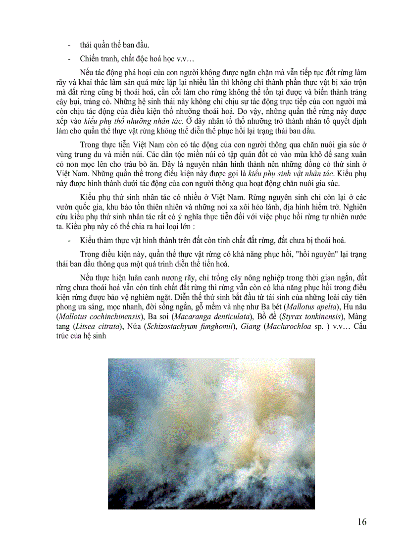 image for page Hệ sinh thái rừng tự nhiện Việt Nam