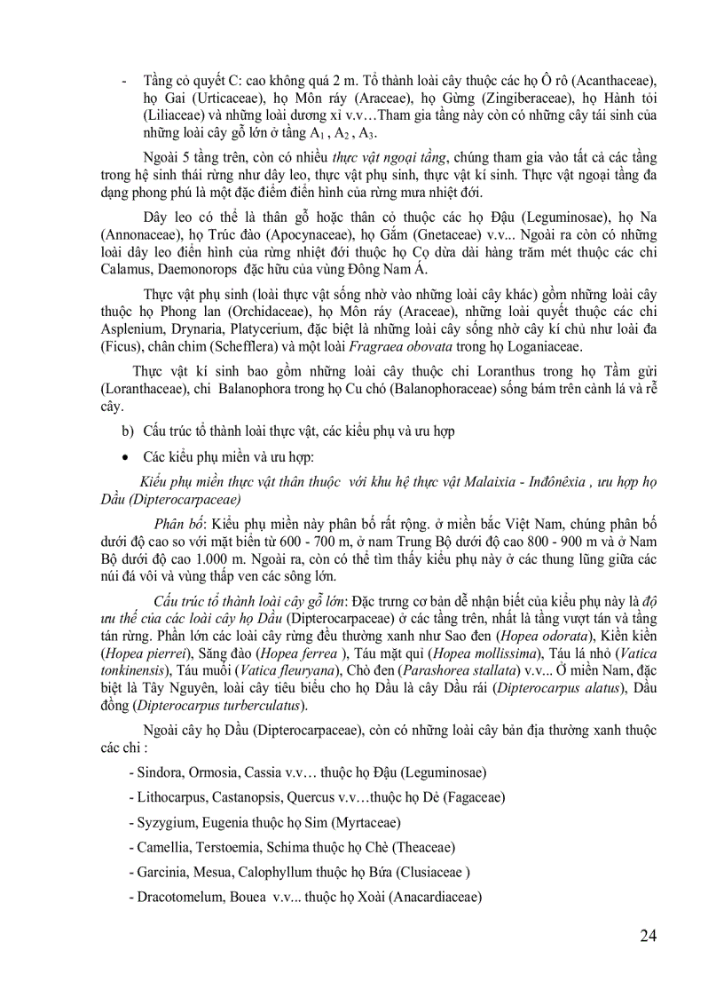 image for page Hệ sinh thái rừng tự nhiện Việt Nam