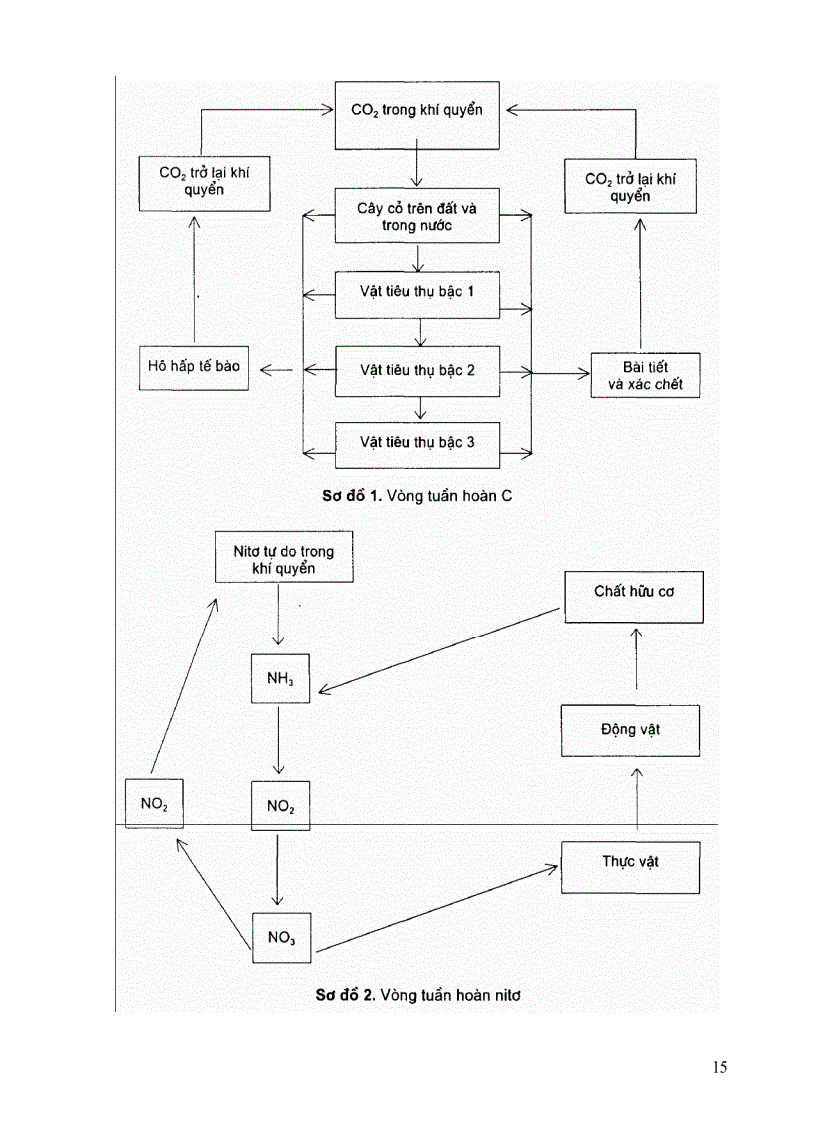 image for page Môi trường và độc chất