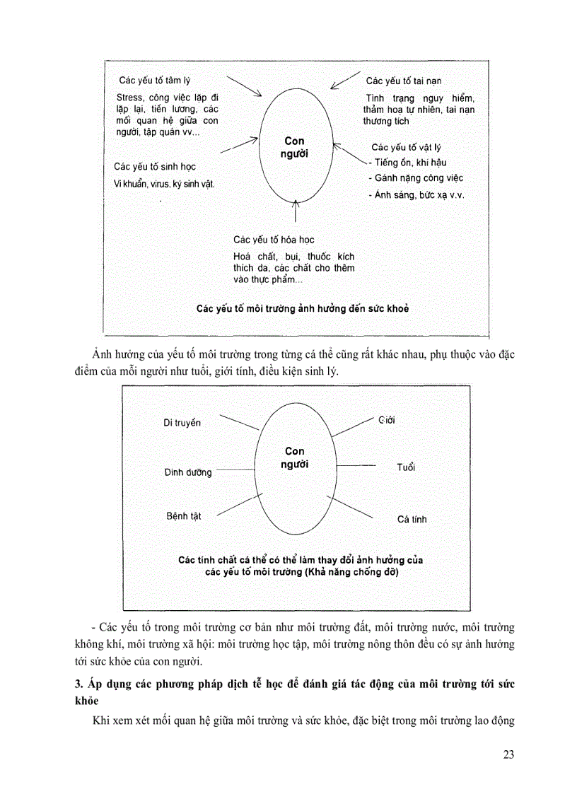 image for page Môi trường và độc chất