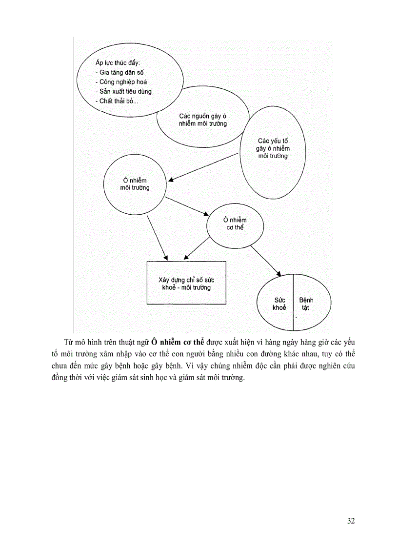 image for page Môi trường và độc chất