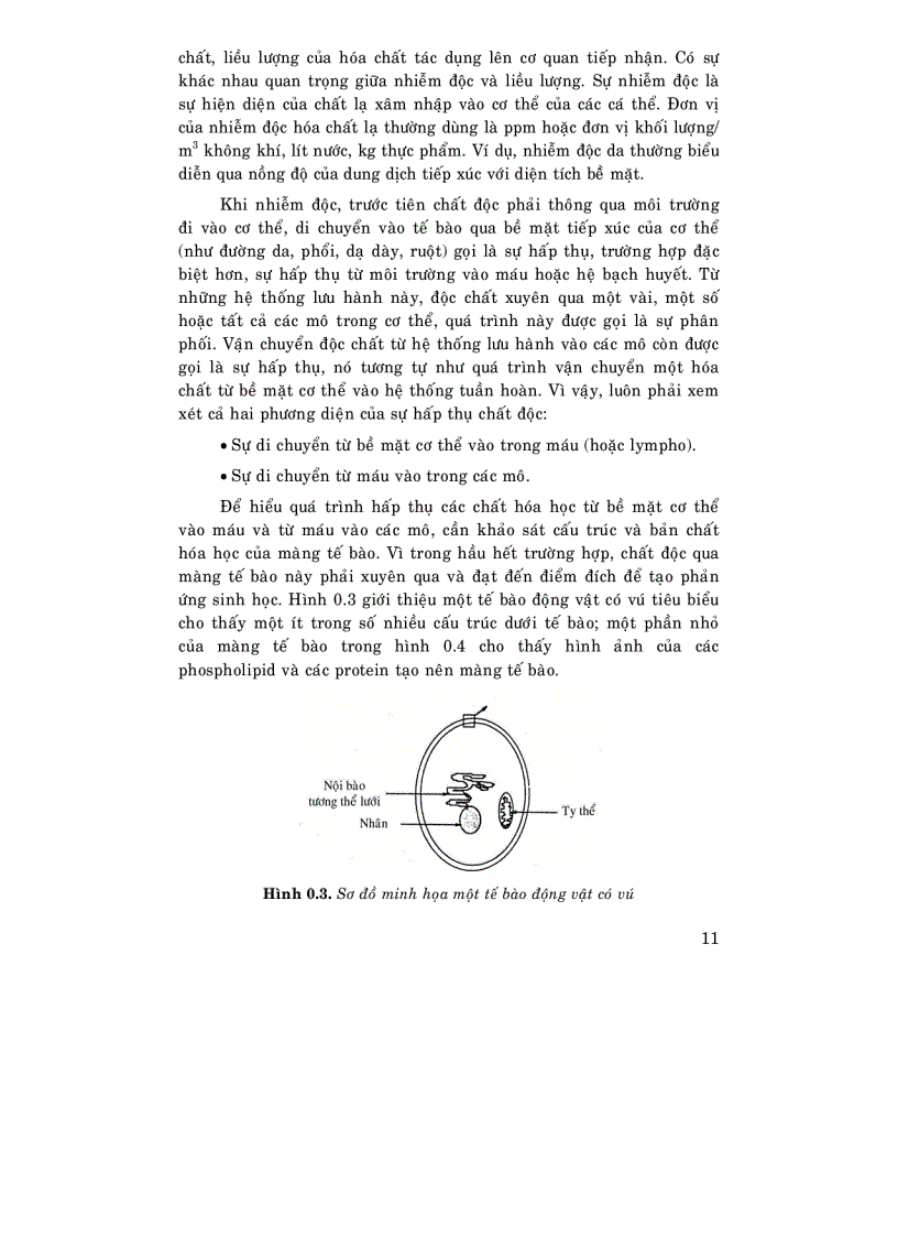 image for page Độc học môi trường Tập 2 phần chuyên đề