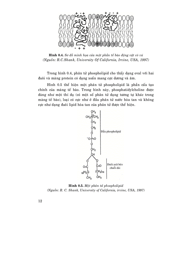 image for page Độc học môi trường Tập 2 phần chuyên đề